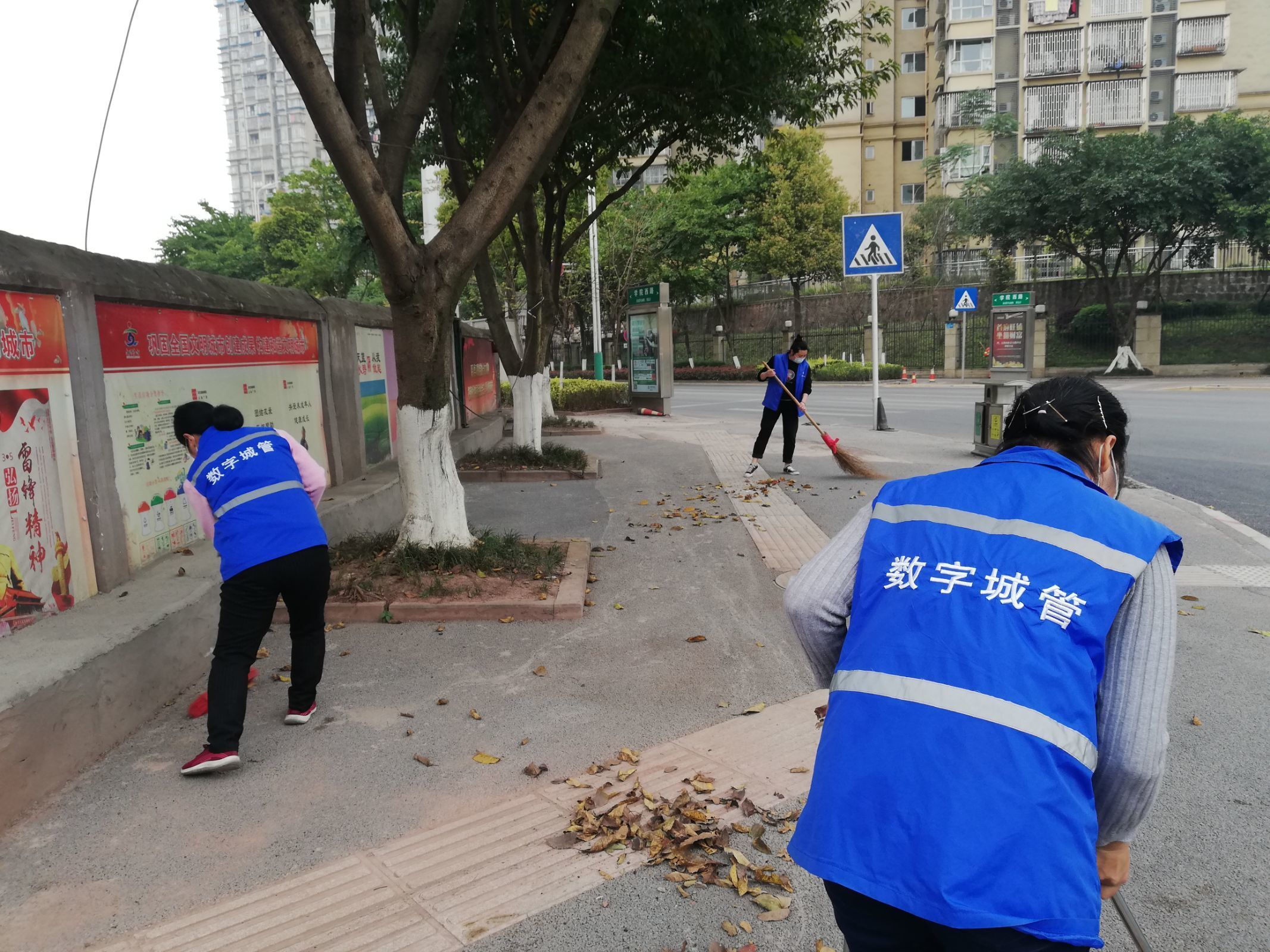 瀘州-愛(ài)國衛生運動(dòng)