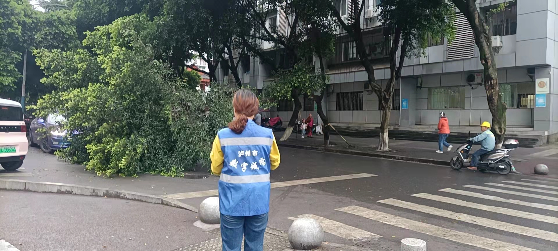 堅持雨后精準采集，共護市民出行安全