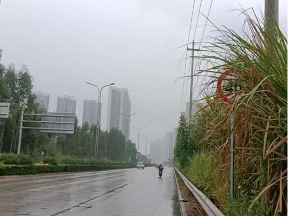 全力以赴戰寒潮，姜汁湯圓暖人心